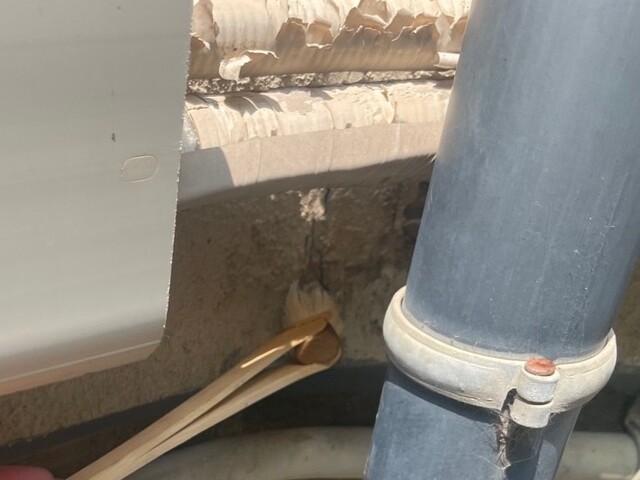 プライマー塗布